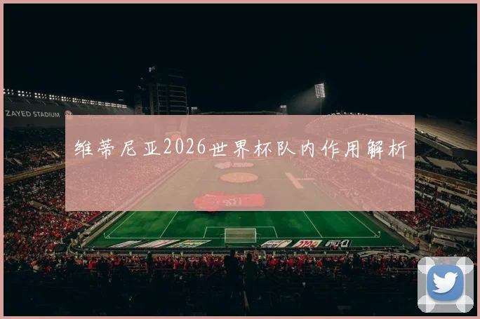 维蒂尼亚2026世界杯队内作用解析