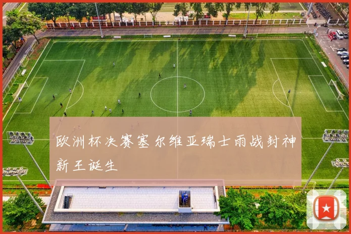 欧洲杯决赛塞尔维亚瑞士雨战封神新王诞生
