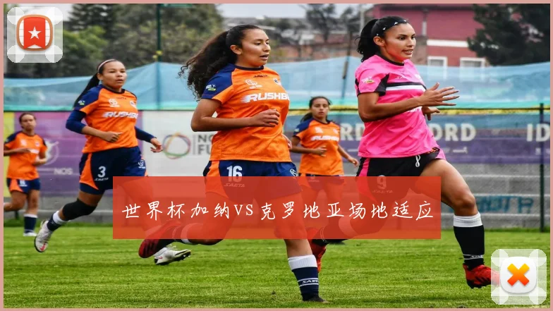 世界杯加纳vs克罗地亚场地适应
