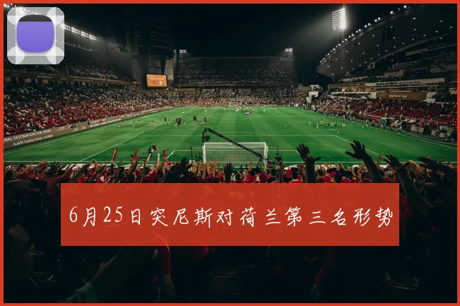6月25日突尼斯对荷兰第三名形势