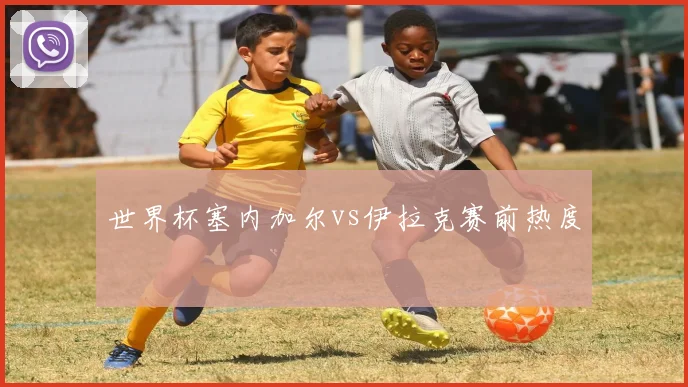 世界杯塞内加尔vs伊拉克赛前热度
