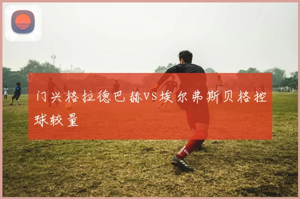 门兴格拉德巴赫vs埃尔弗斯贝格控球较量